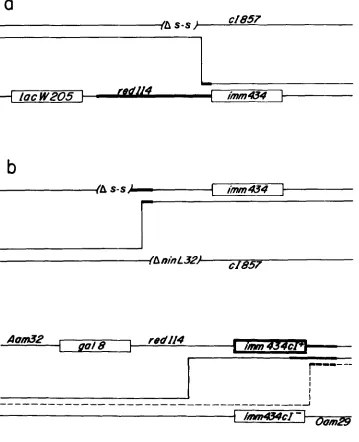 FIGURE 4.-Fine bar205. (a) The 