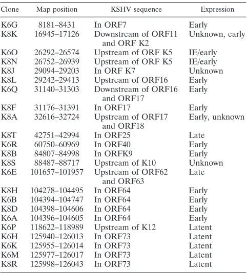 TABLE 1. Clones obtained after multiple rounds of selectionand ampliﬁcation for RTA binding sequences