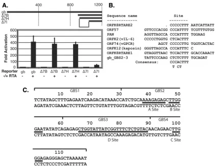 TABLE 2. Microarray hits from enriched SELEX population