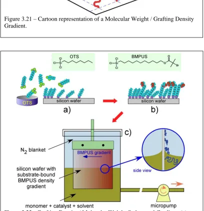 Figure 3.21 – Cartoon representation of a Molecular Weight / Grafting Density  Gradient