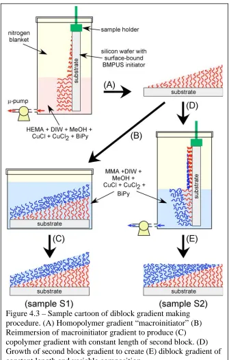 Figure 4.3 – Sample cartoon of diblock gradient making procedure. (A) Homopolymer gradient “macroinitiator” (B) 