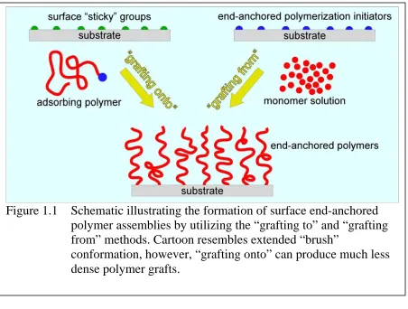 Figure 1.1 Schematic illustrating the formation of surface end-anchored polymer assemblies by utilizing the “grafting to” and “grafting 