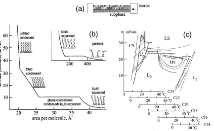 Figure 1.2: A surfactant monolayer on the surface of a ﬂuid, when compressed, can undergo manyphase transitions