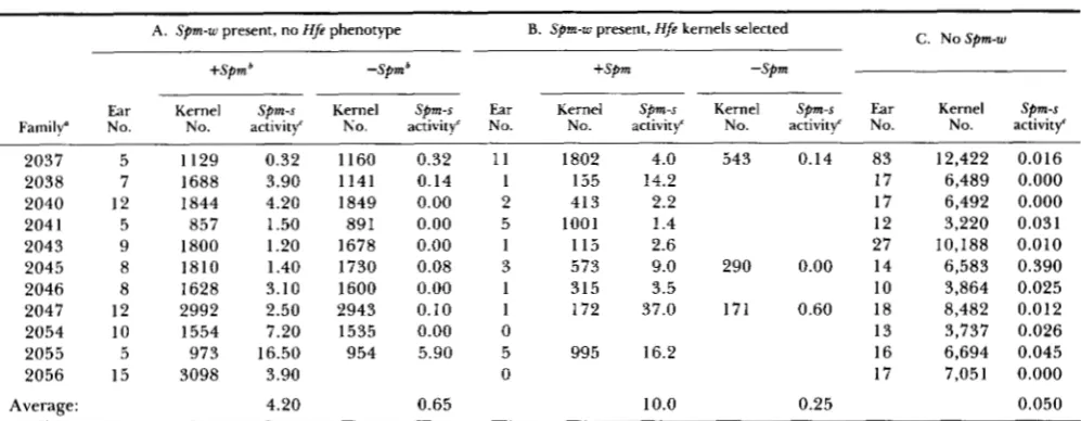 TABLE 1 Frequency of Spm-s activation in the presence and absence of a  trans-acting Spm-w element 