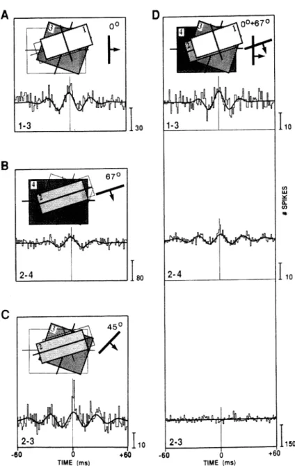 Figure 1.2: Temporal binding in the cat visual cortex. Activity was measured from four cells that are detecting moving bars, with preferences regarding the  orienta-tion of the bars of 157 ◦ (1), 67 ◦ (2), 22 ◦ (3), and 90 ◦ (4)