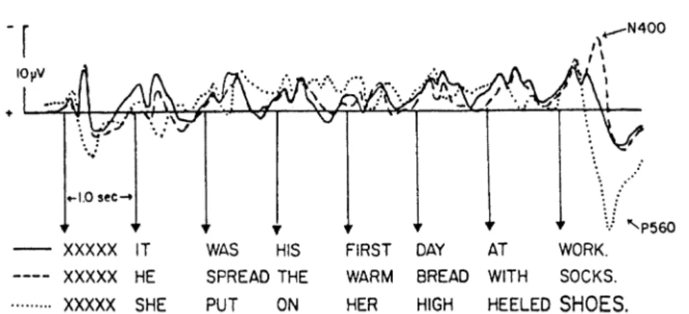 Figure 2.8: The N400 component in the experiment of Kutas and Hillyard. The graph shows the ERP average for the three experimental conditions that are  illus-trated with a sample sentence below