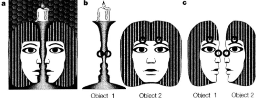 Figure 1.1: The concept of binding, illustrated by a “bistable” image. The image (a) has two possible interpretations: a face partially occluded by a candlestick (b), or two opposing faces (c)