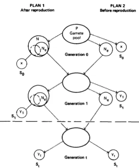 FIGURE 1.-Two both plans, P is frequency of an allele in gamete 