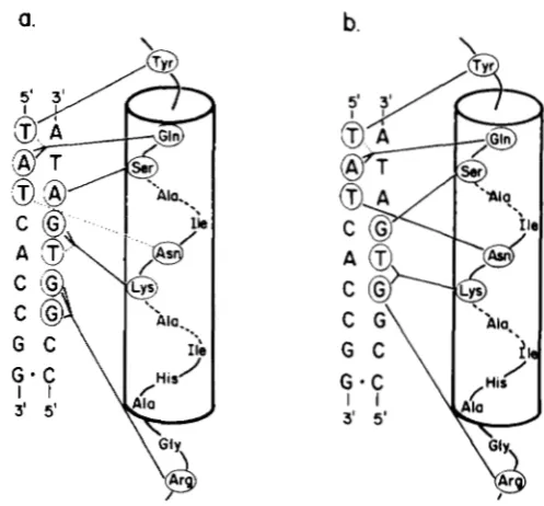 FIGURE 2.-Models For each model, the 
