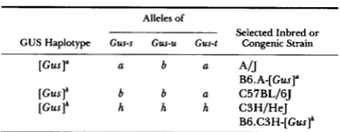 TABLE 1 transcription from the T7 RNA  polymerase yielded a "P-UTP  labeled transcript complementary to the 