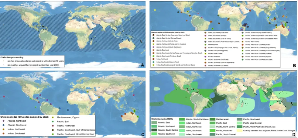 Figure 1. Multi-scale Regional Management Units for loggerhead turtles Caretta carettaare contained in metadata tables (Appendix S2).nesting sites and in-water distributions (global distributions for each species represented by hatching); B) mitochondrial 