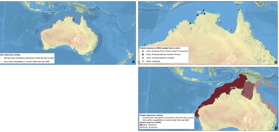 Figure 7. Multi-scale Regional Management Units for flatback turtles Natator depressusD) Regional Management Units (shown with nesting sites)