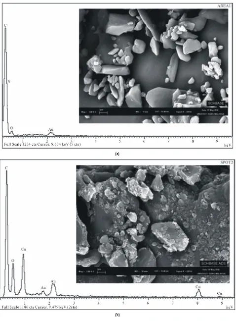 Figure 10. SEM-EDX spectra of SB (a) before and (b) after the adsorption of copper(II) ions