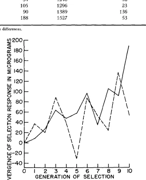 FIGURE 1.-Divergence line refers to the divergence at the solid line refers to between high and low groups at two intensities of selection