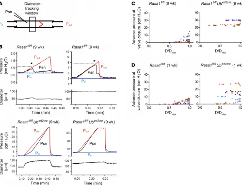Figure 2. Valves in induced RASA1-deficient LVs fail to close in valve-closure tests. (tion