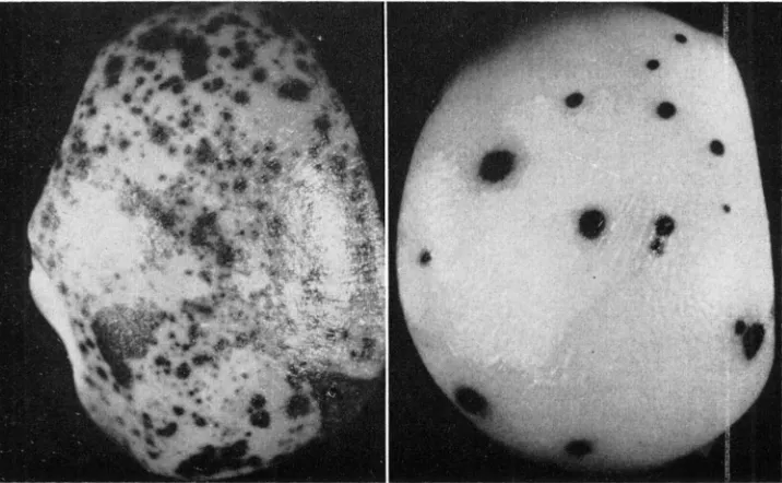 FIGURE 2.-Comparison a cross of a”’ a a, Dt dt dt (left) vs. a a a, Dt dt dt (right) on sib sectls from of a a, dt dt X a’” a, Dt Dt