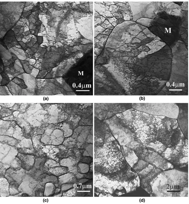 Figure 14 shows that the elastic component of the TRIP steel is higher than that of the DP steel for a given number of reversals-to-failure