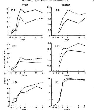 FIGURE + isoxanthopterin. plex were usually higher in mottled than in wild-type males in both testes and ',r- DP XYw/Y; 8.-Comparison of eye and testis pteridines developed in Oregon-R males (-) and n +/Dpa males (---) which were reared concurrently