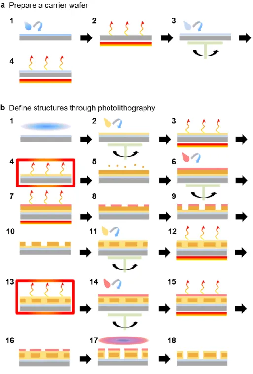 Figure S2. Fabrication procedure (part 1).  (a) 1. Cleaning, 2. Dehydration, 3. PDMS 