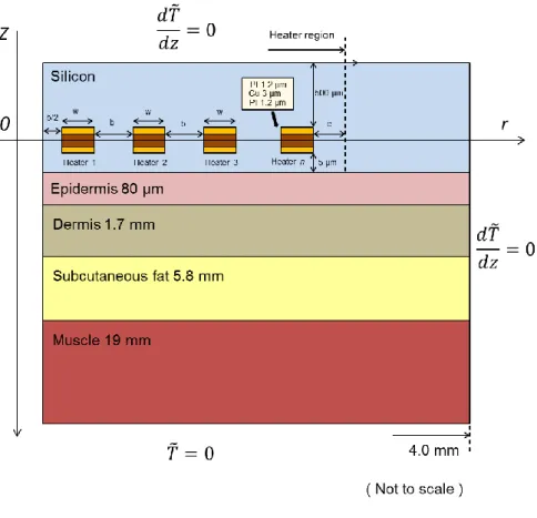 Figure S10. 2D simulation model to approximate the fractal-based sensor for penetration  depth analysis