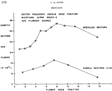 FIGURE 1.-Response mutable locus succassive node positions. Purple sectors (associated with the stable locus less fr?quent, but respond in a pattern similar to that curves showing the frequencies of somatic sectors on flowers from R) are about 300 times fo