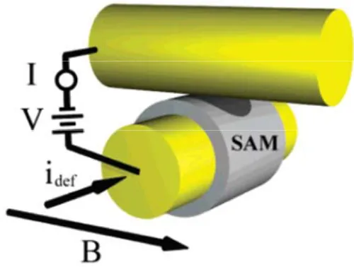 Figure 1-5.  Schematic showing a crossed-wire tunnel  which is modified with a molecular monolayer