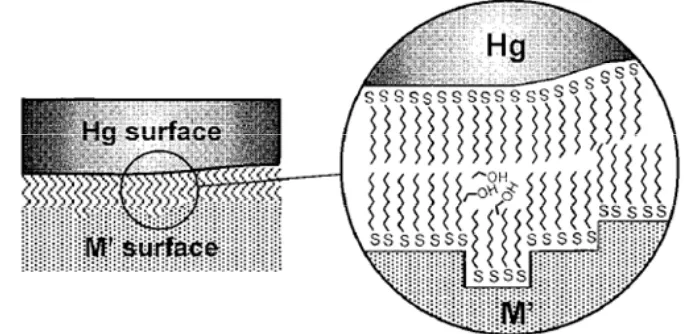 Figure 1-6.  Schematic of a Hg-SAM/SAM-M’ junction created using a mercury drop.  The magnified view shows the presence of some solvent molecules (ethanol) at the interface