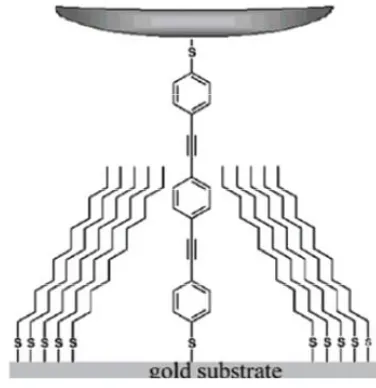 Figure 1-8.  Schematic of a dithiol OPE, which was inserted into an alkanethiol film and then bound to a nanoparticle
