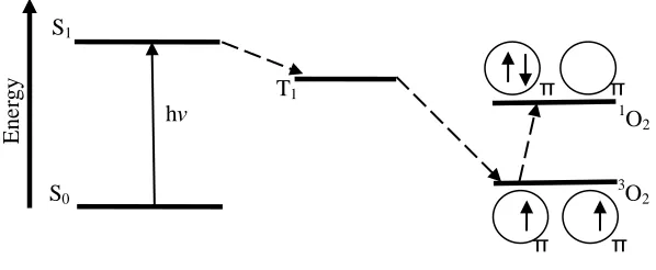 Figure 2-2. Modified Jablonski diagram showing Type II sensitization process. 