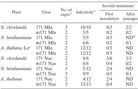TABLE 1. Infectivity of PPV chimeras bearing miR171target sequences
