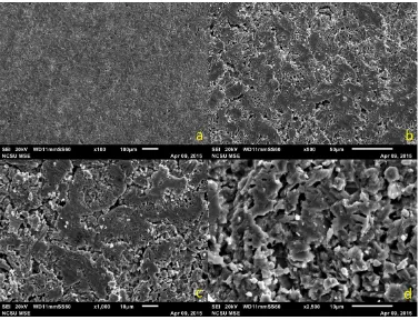 Figure 5.1: Scanning electron micrographs at 100X (a), 500X (b), 1000X (c), and 2500X (d) of the planetary balled milled Fe50Se25Te25 sample 