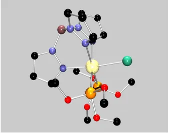 Figure 2.3  X-ray diagram of TpRu{P(OMe)3}2Cl (H omitted). 