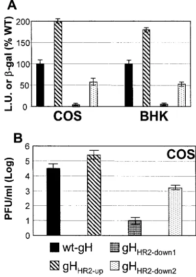 FIG. 3. Cell-cell fusion (A) and infectivity complementation (B) ofmutant forms of gH