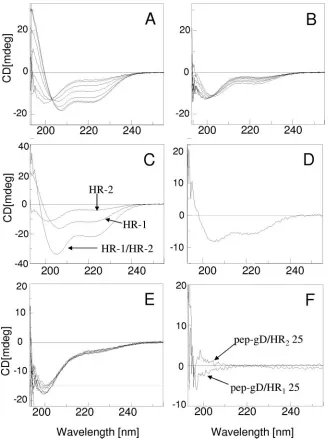 FIG. 6. CD spectra of HR-1 and HR-2 mimetic peptides singly and in combination. (A, B) CD spectra of pep.gH-HR125was phosphate buffer (10 mM, pH 7.4) with 10% TFE; cell size, 1 mm