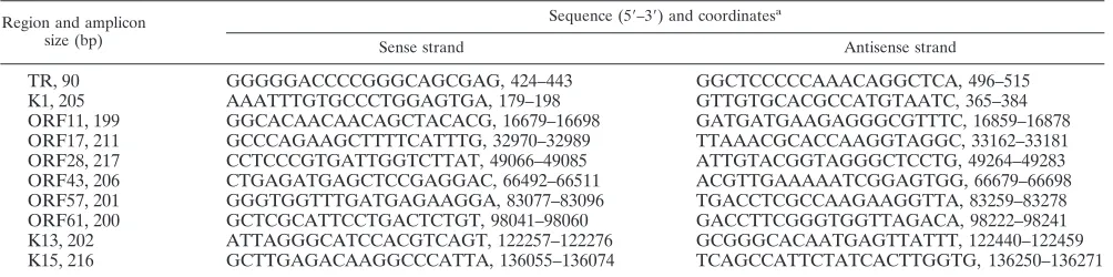 TABLE 1. Primers used for ampliﬁcation of KSHV genomic regions