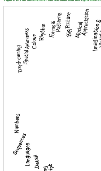 Figure 1. The functions of the left side and the right side of the brain