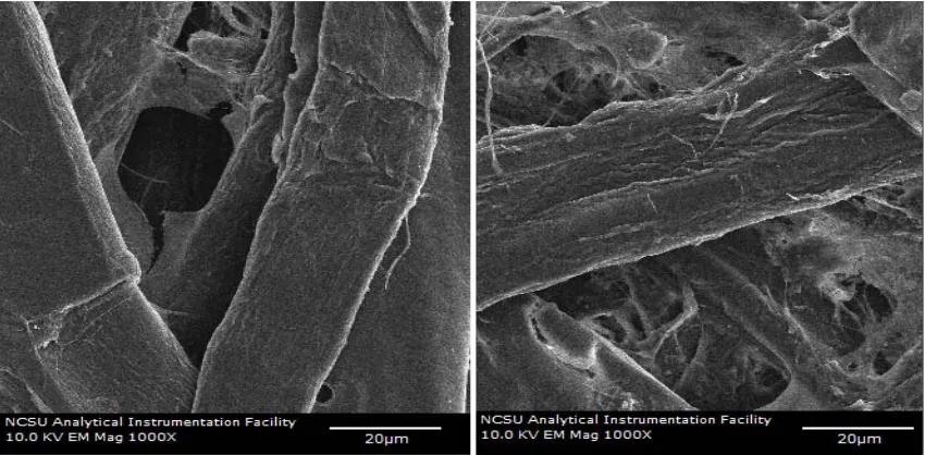 Figure 3.1.10.  DMA of A = Storage modulus of soy flour -DTPA-chitosan treated-OCC pulp hand sheet, B = Storage modulus of OCC pulp hand sheet, C = Loss modulus of soy flour-DTPA-chitosan treated-OCC pulp hand sheet, and D = Loss modulus of OCC pulp hand s