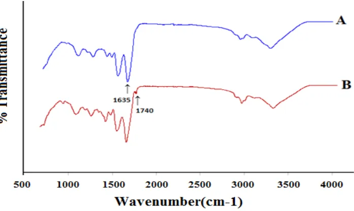 Figure 3.2.3. Shown are ATR spectra of soy protein isolate (A) and soy protein isolate-EDTA (B)