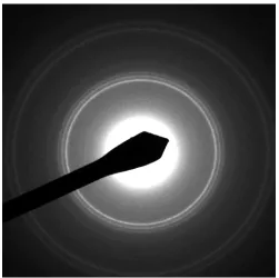 Figure 1. Bright-field TEM images of Co nanoparticles synthesized using (a) docosanic acid, (b) dodecanoic acid, and (c) hexanonic acid