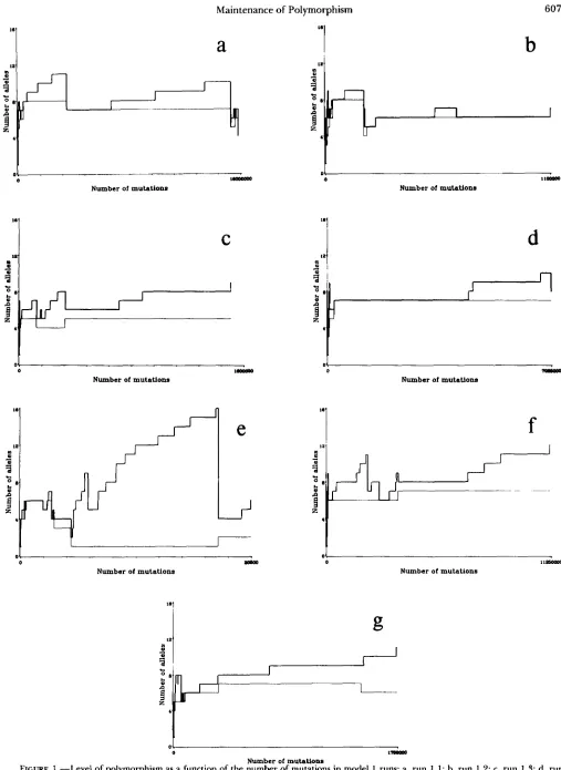 FIGURE g, run 1.7. Heavy (upper) lines indicate the runs: 1.4; e, run run 1.5; c, f, 1.3; d, run run of polymorphism as a function of the number of mutations in model 1.6; .