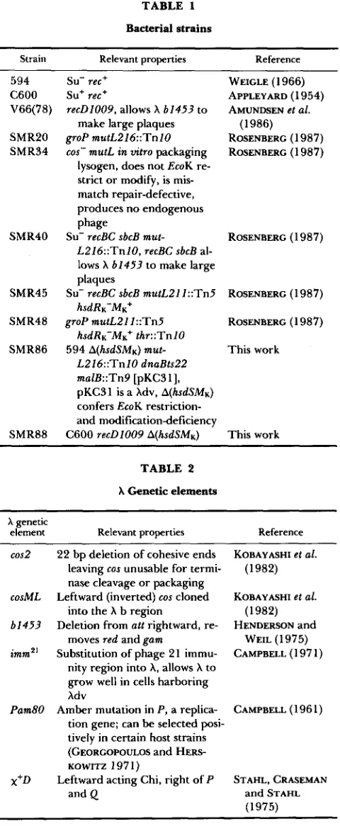 TABLE 1 Bacterial strains 