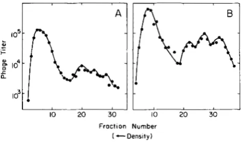 FIGURE 5.-Density  transfer experiments to examine extent replication-block in of dnaBts cells  carrying  hdv