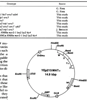 TABLE 1 Yeast  strains 