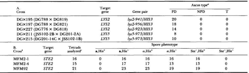 TABLE 4 