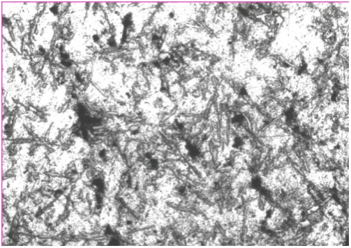 Figure 3. Microstructure of Chilled Ni-MMC containing 9 wt.% reinforcement. (500×, 50 µm magnification)