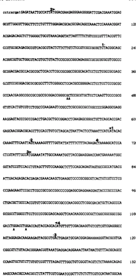 FIGURE 1 B37. AvaI, under  the map indicate the inverted and direct repeats. The restric- tion sites indicated are map indicate the direction and  extent .-Restriction map  and  subcloning strategy for Mul.4- Mul-homologous  DNA is indicated by bar