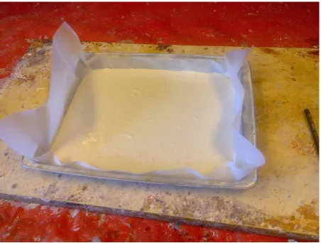 Fig 3.7 shows the mould used to cast the test specimen and cured in room temperature. 