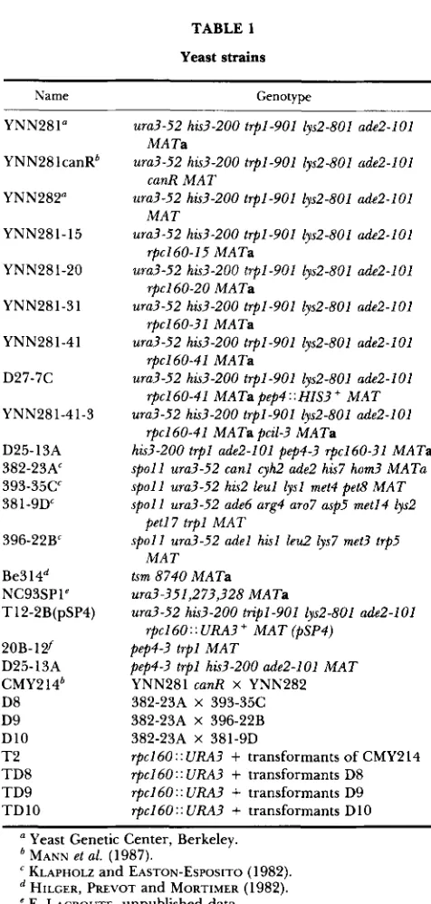 TABLE 1 were described by SHERMAN,  FINK  and  HICKS (1979). The proteinase-less phenotype of the pep4-3 mutation was fol- 