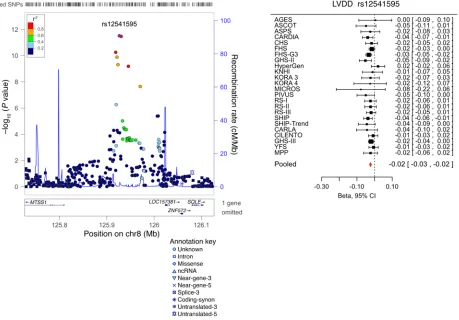 Figure 4. Forest plot for the meta-analysis of the association between rs12541595 and LVDD, with the corresponding regional plot including functional annotation