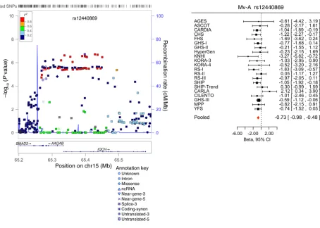 Figure 5. Forest plot for the meta-analysis of the association between rs12440869 and Mv-A, with the corresponding regional plot including functional annotation